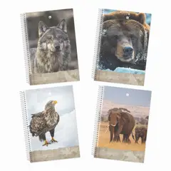 GREENNOTE - Cuaderno Triple 3 Materias Pack 4