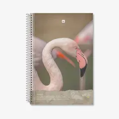 GREENNOTE - Cuaderno Triple 3 Materias Pack 4