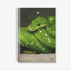 GREENNOTE - Cuaderno Triple 3 Materias Pack 4