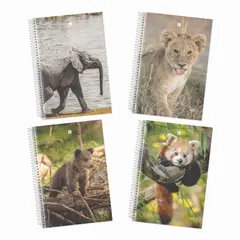 GREENNOTE - Cuaderno Triple 3 Materias Pack 4