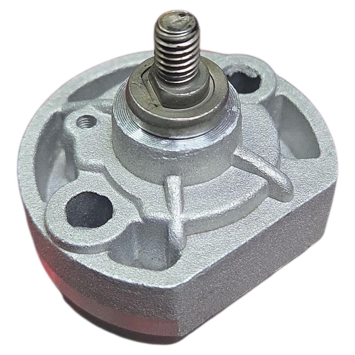 GENERICO - Bomba De Aceite Moto Motorrad Mrc 300 / Ttx 300