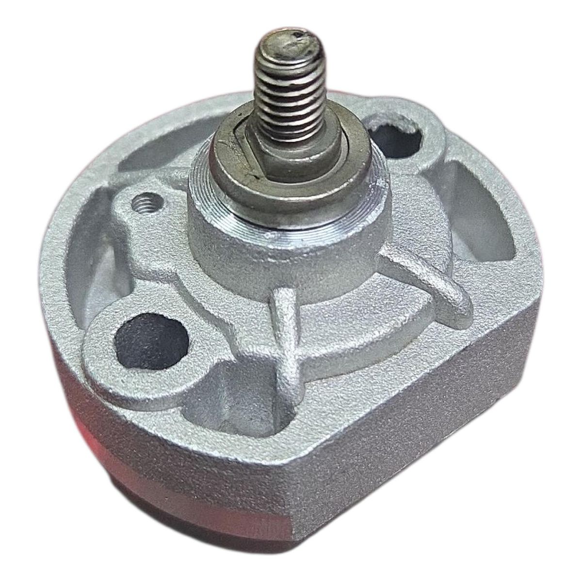 GENERICO - Bomba De Aceite Moto Motorrad Mrc 300 / Ttx 300