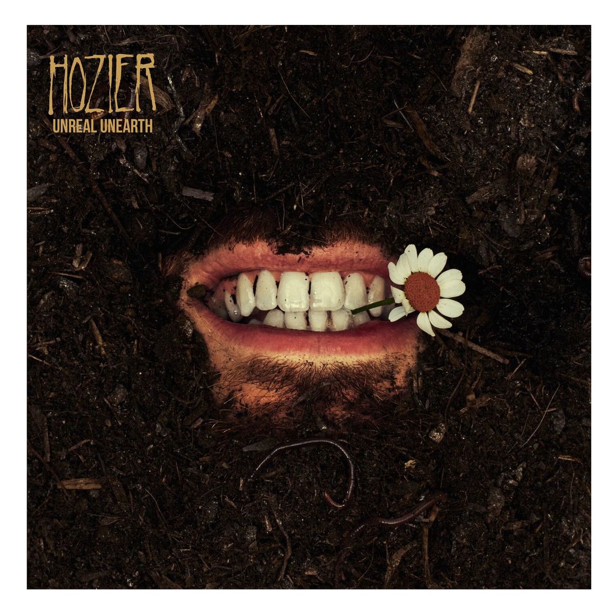 GRUPO LASER DISC - Vinilo Hozier Unreal Unrealh 2LP