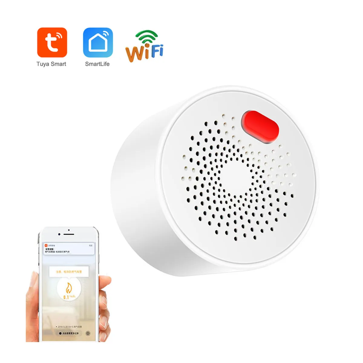 VIPA - Detector Fuga de Gas Inteligente Wifi