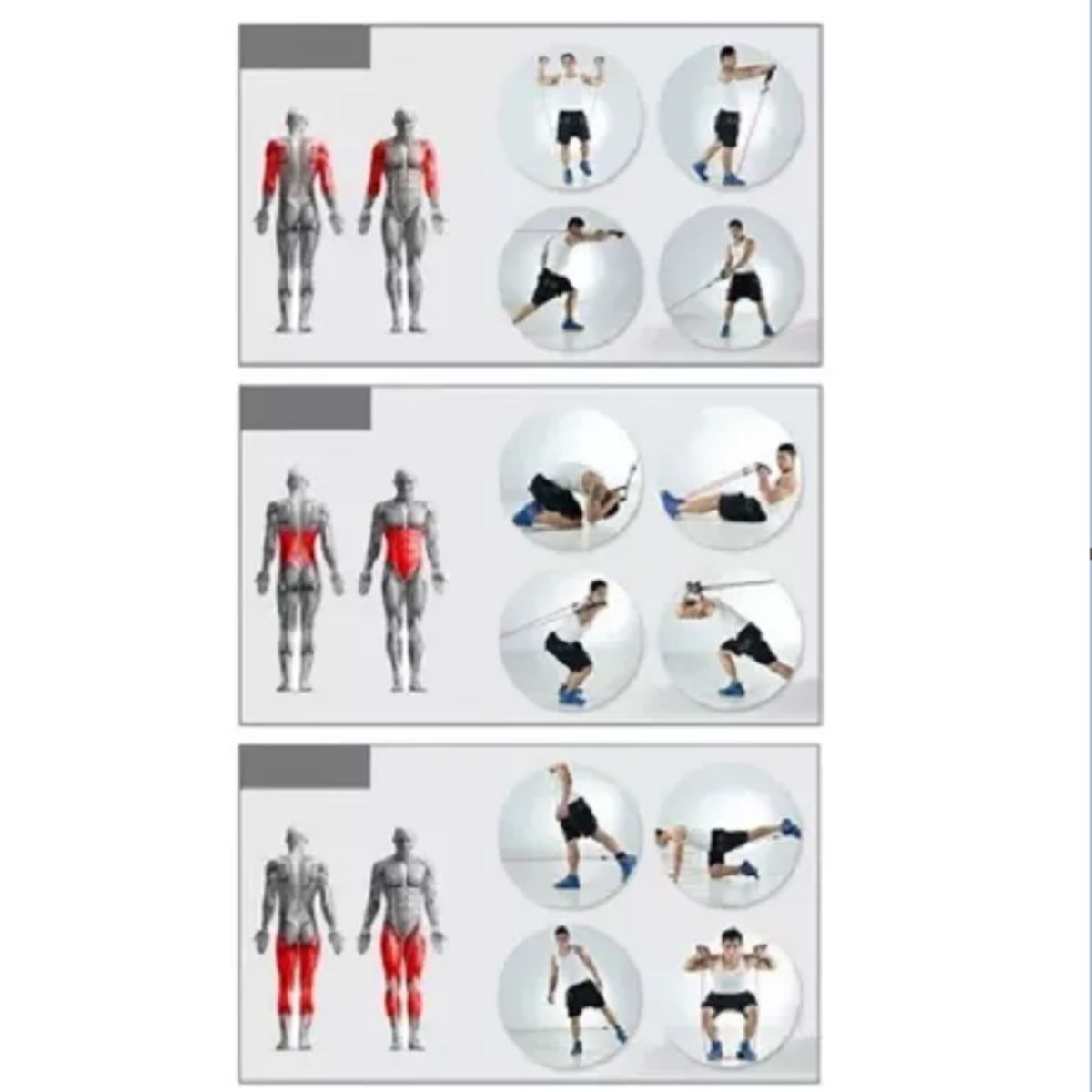 GENERICO - Bandas Elasticas Kit Teratubos Sportfitness Set X5 Ejercicio