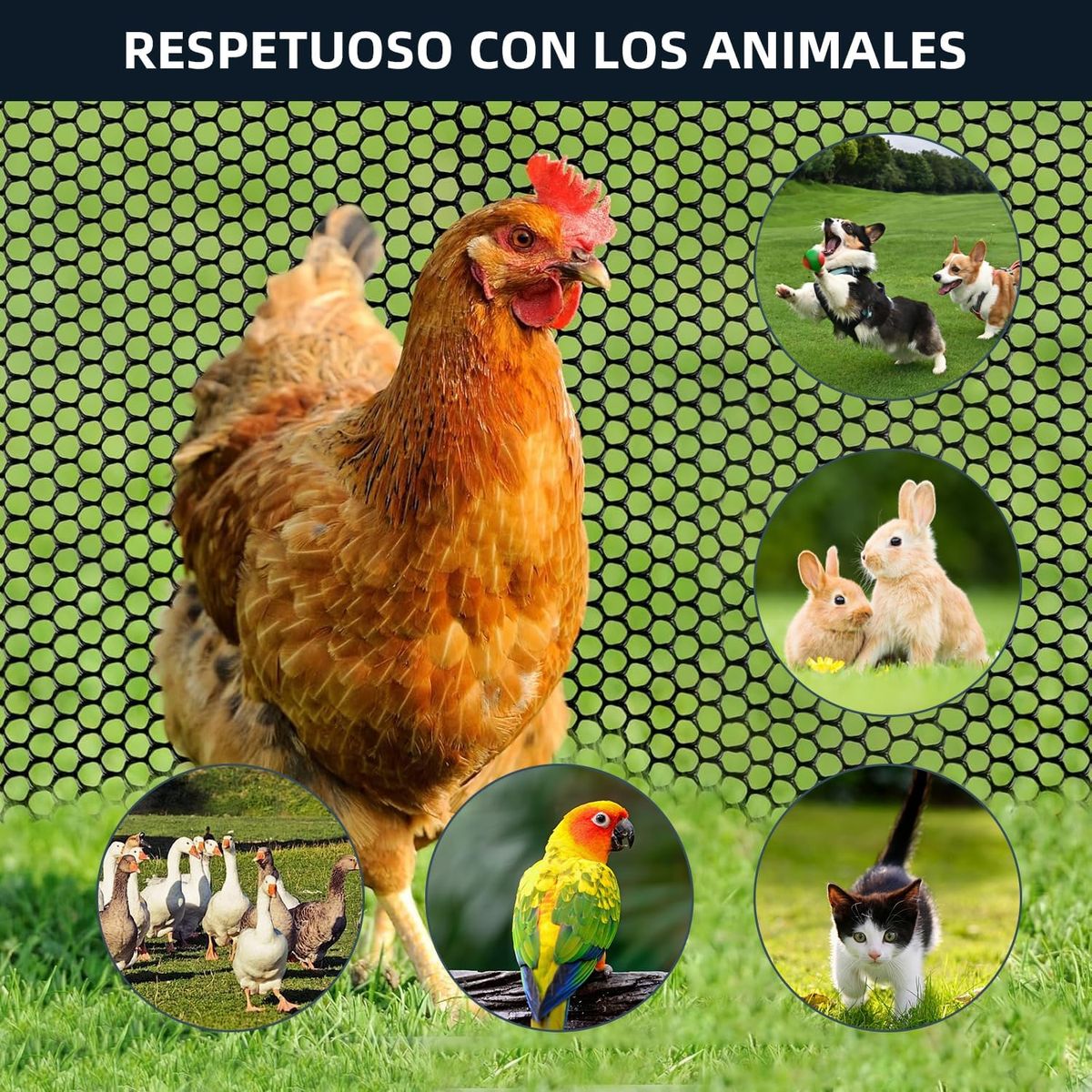 GENERICO - 40cmx5m Malla Alambre De Plástico Para Jardín Gallineros