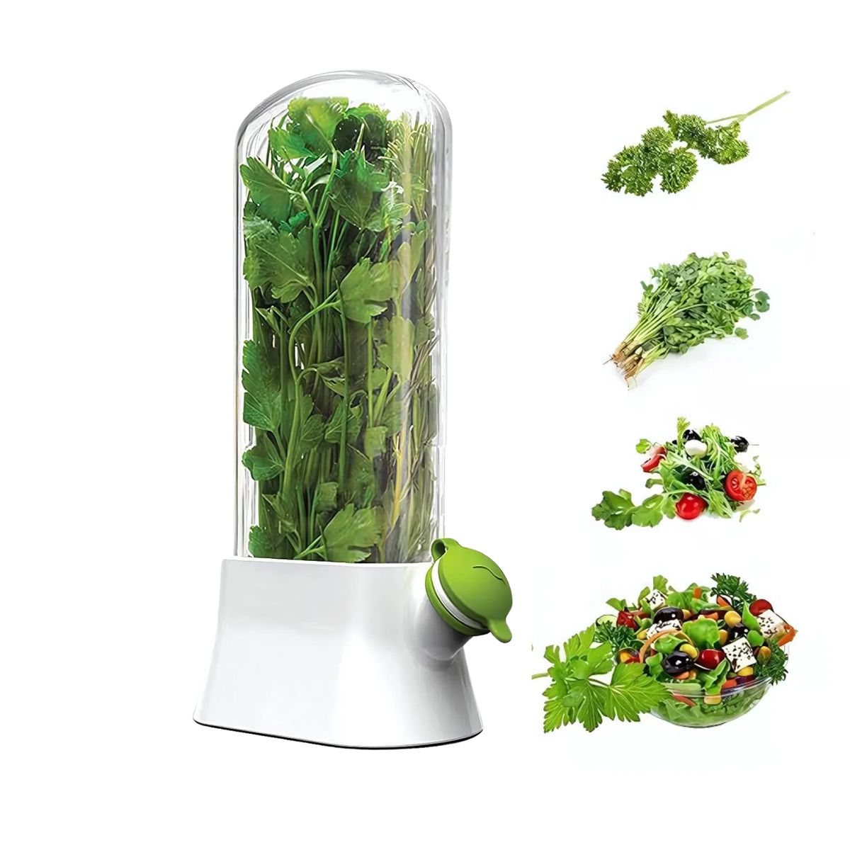 CRUSEC - Envase Conservador de Hierbas Cilantro Perejil Refrigerador