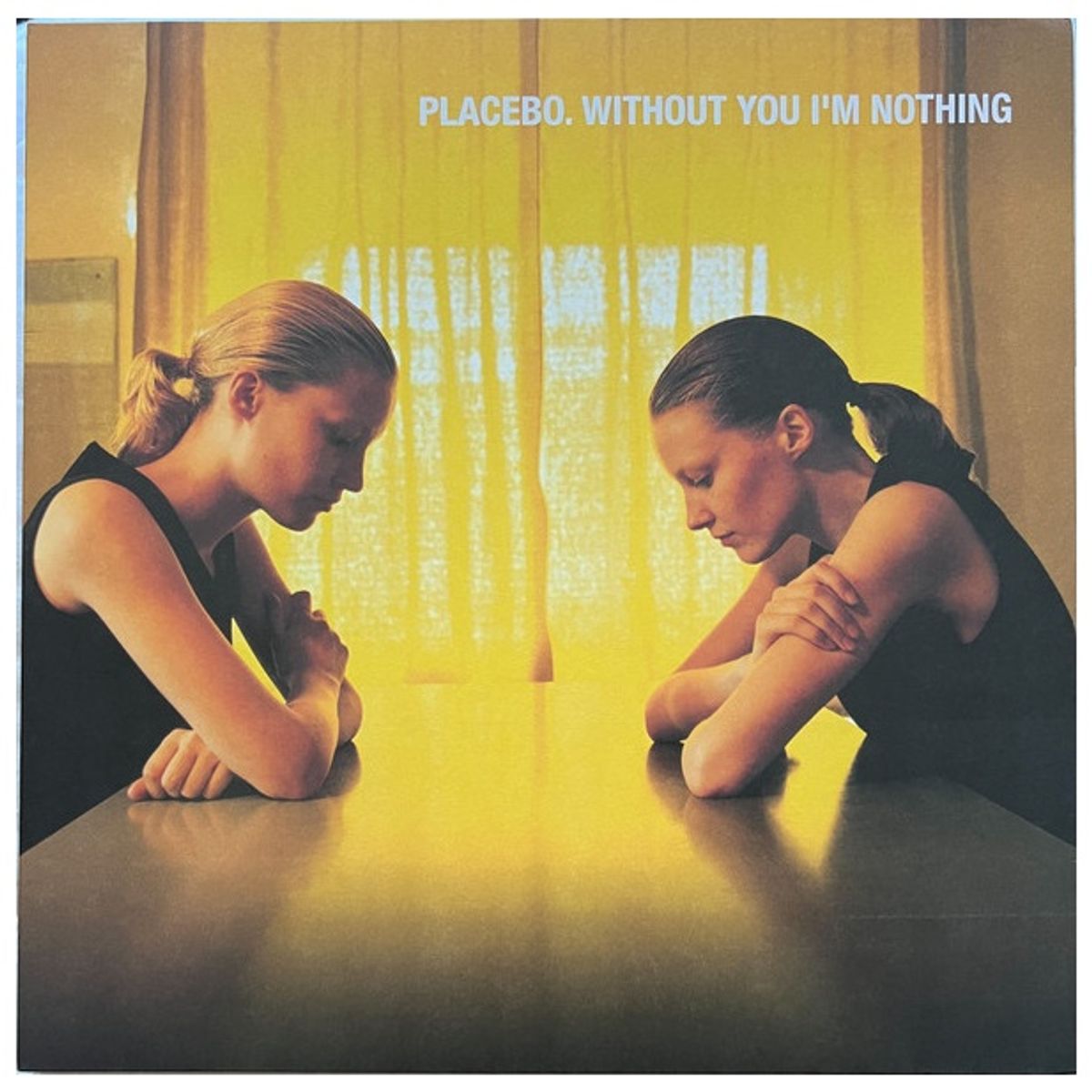 GENERICO - PLACEBO - WITHOUT YOU I'M NOTHING / VINILO