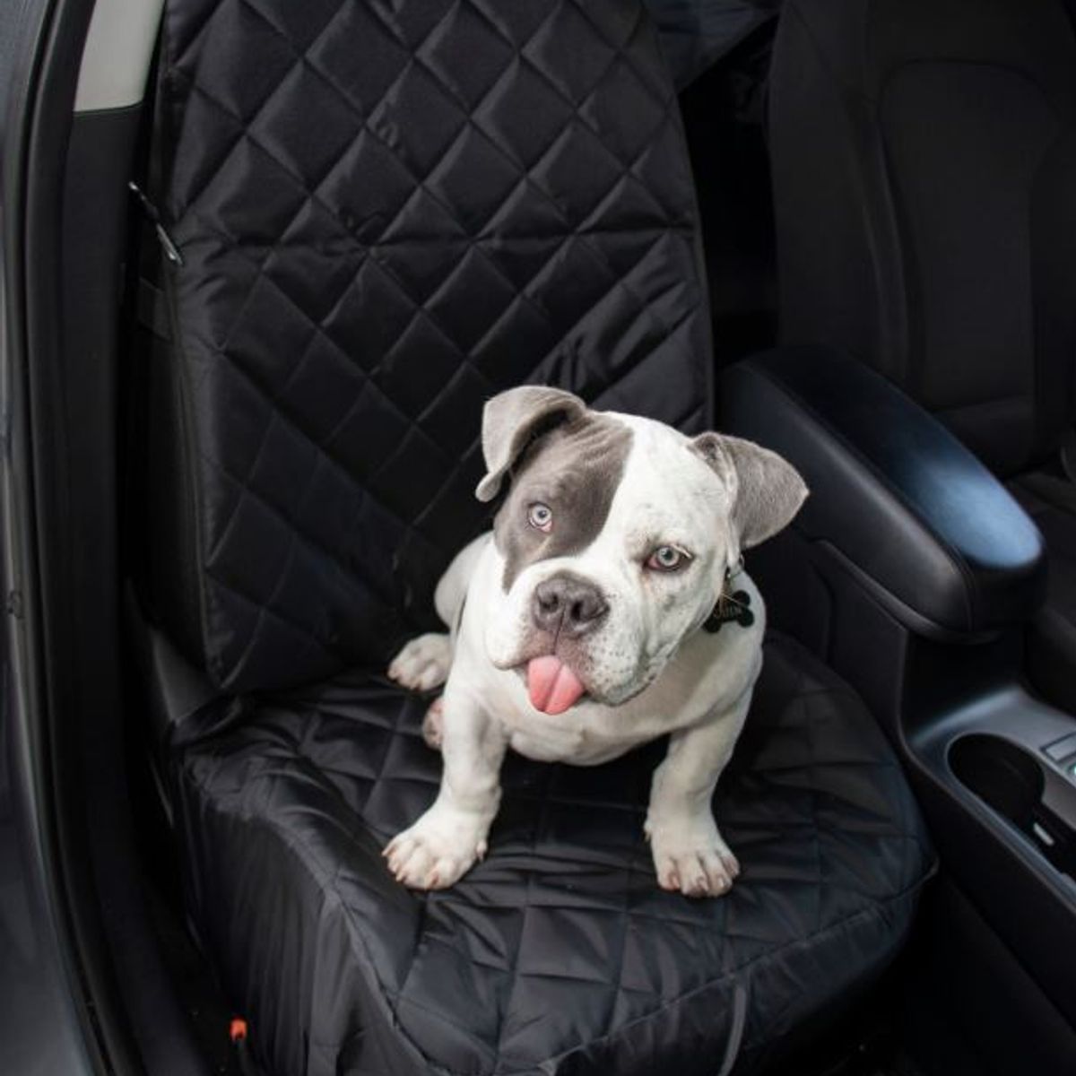 NEO HOME - PROTECTOR CUBREASIENTO COPILOTO PARA MASCOTA