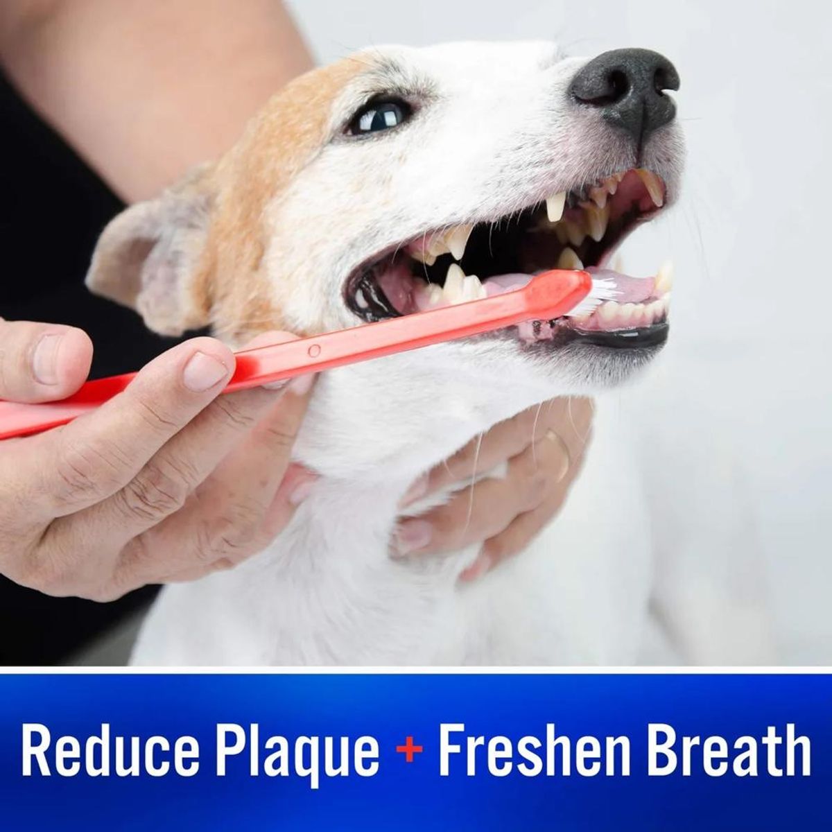 VIRBAC - Virbac C.E.T. Pasta Dental Enzimática con Cepillo 