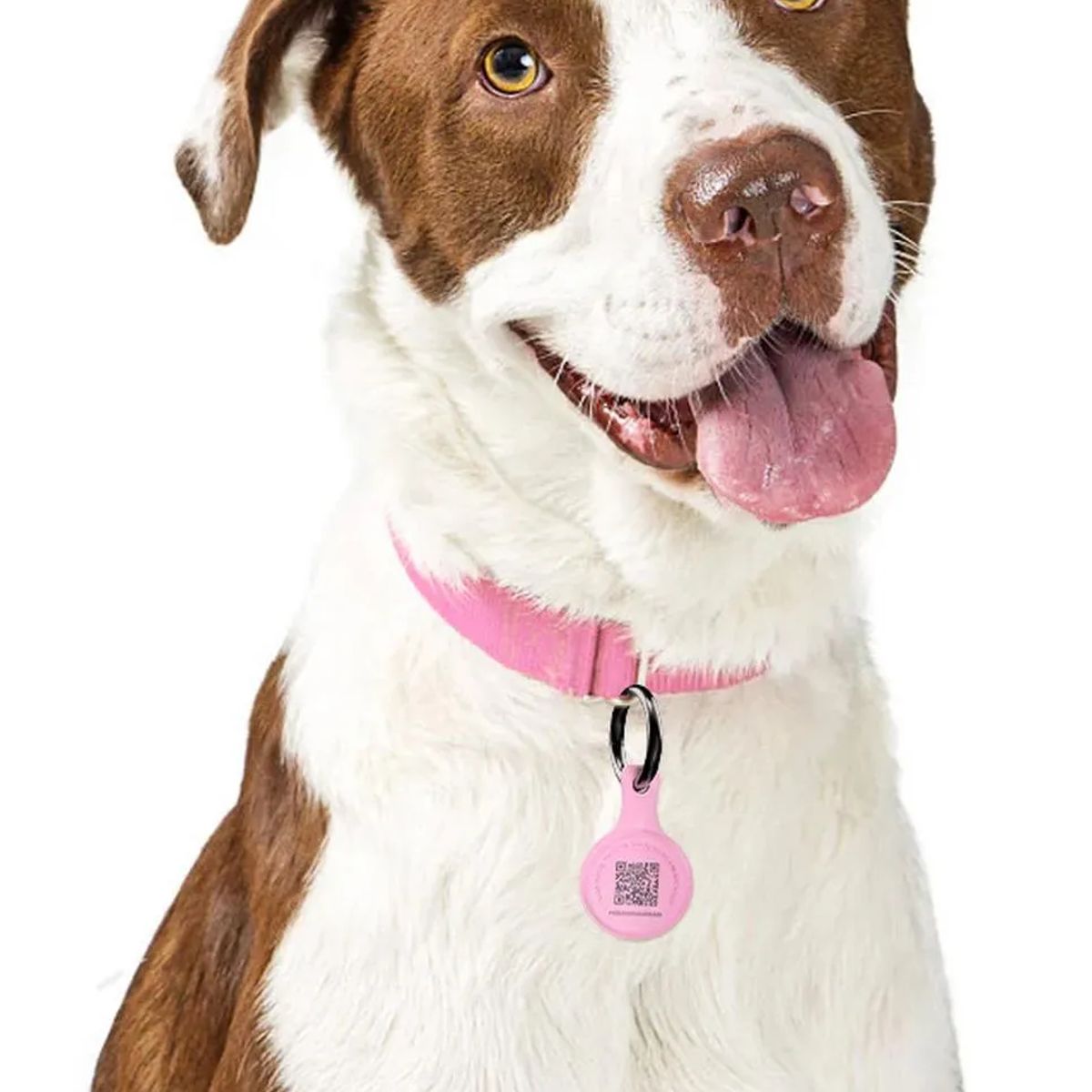 STREET DOGS - Street Dogs Placa Identificación Inteligente Colgante Perros - Rosa