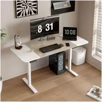 Escritorio Altura Ajustable Eléctrico 120cm Profesional