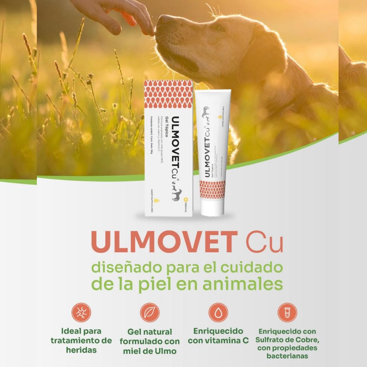 AGROVET - UlmovetCu Gel Topico 30gr