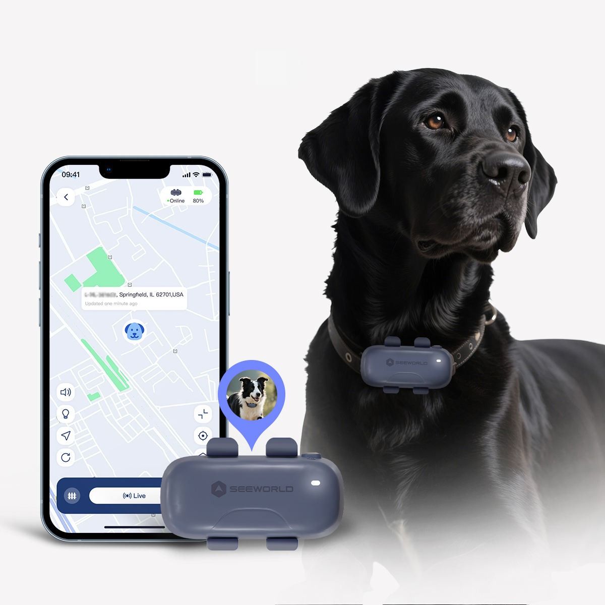 GENERICO - Collar SeeWorld Gps Rastreador Para Perro Gato Alerta Tiempo Real 4g