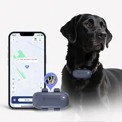 GENERICO - Collar SeeWorld Gps Rastreador Para Perro Gato Alerta Tiempo Real 4g