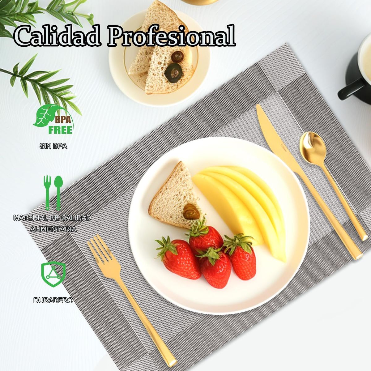 EINICIO - Juego De 10 Manteles Individuales De Pvc Para Mesas