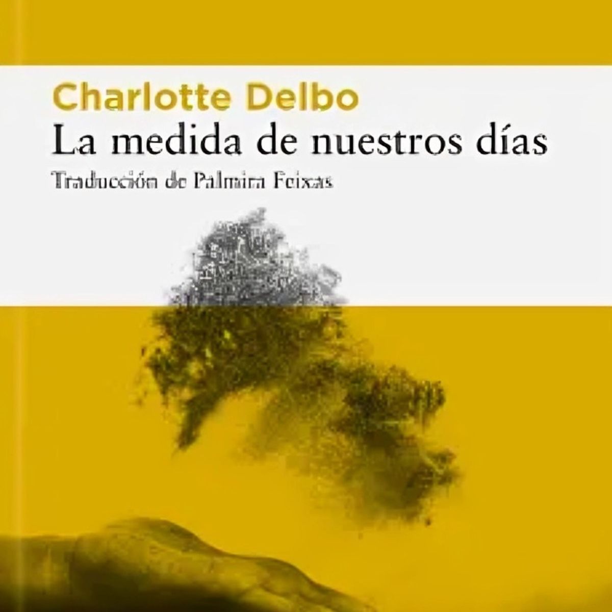 TOP10BOOKS - LIBRO La Medida De Nuestros Días - La Medida De Nuestros Días