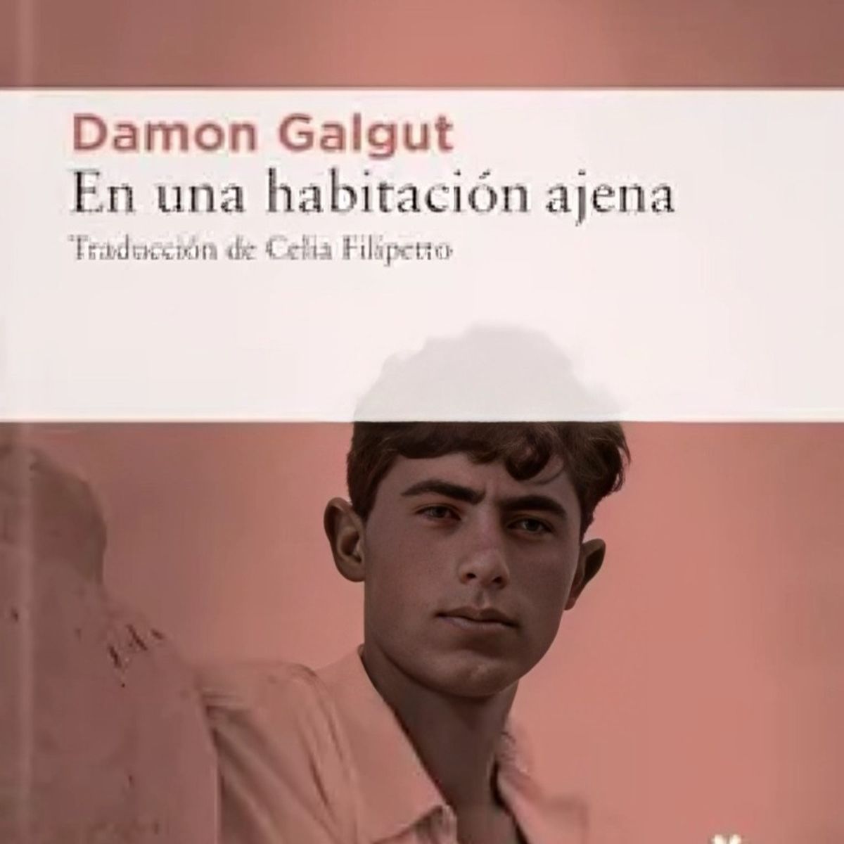 TOP10BOOKS - LIBRO En Una Habitación Ajena - En Una Habitación Ajena