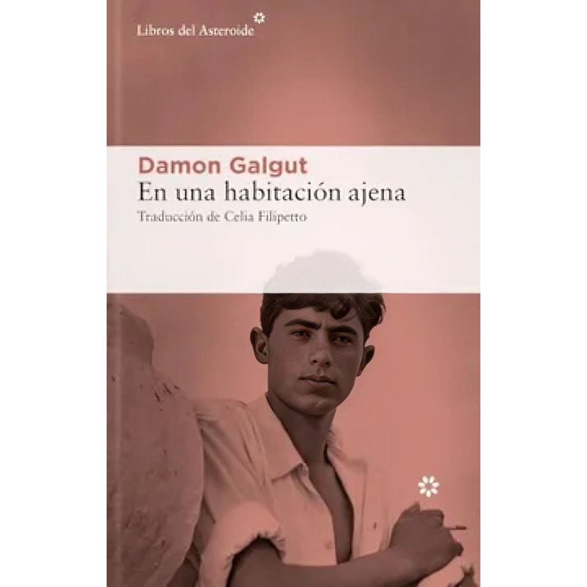 TOP10BOOKS - LIBRO En Una Habitación Ajena - En Una Habitación Ajena