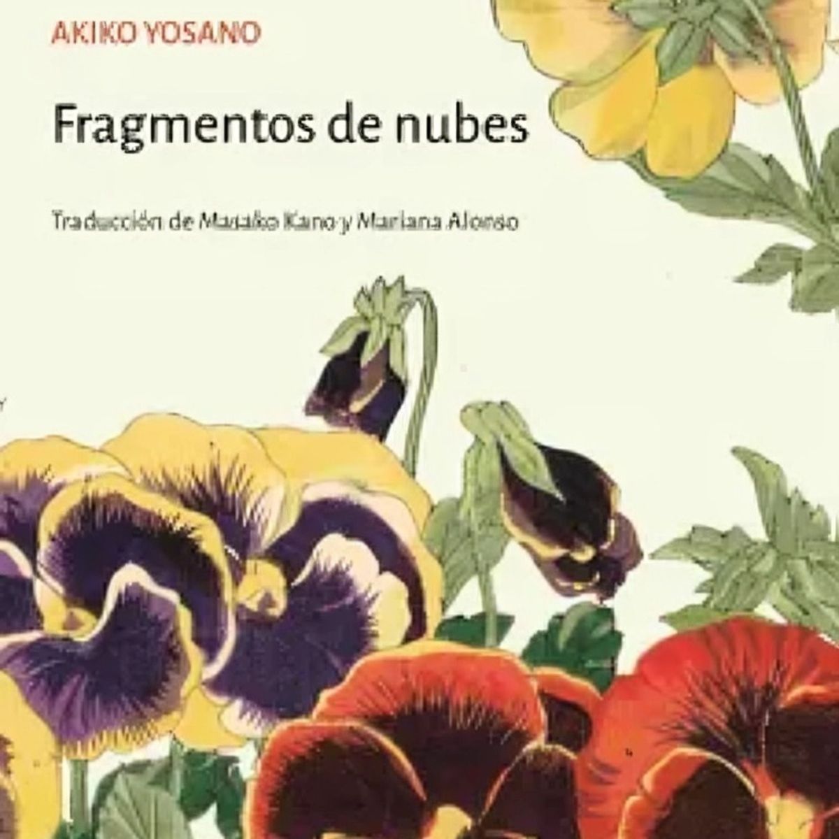 TOP10BOOKS - LIBRO Fragmentos De Nubes - Fragmentos De Nubes