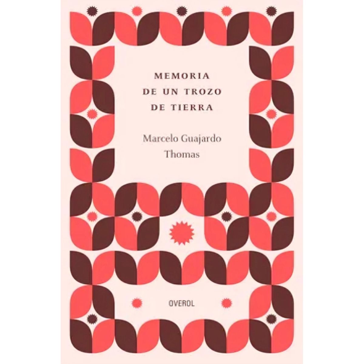 TOP10BOOKS - LIBRO Memoria De Un Pedazo De Tierra - Memoria De Un Pedazo De Tierra