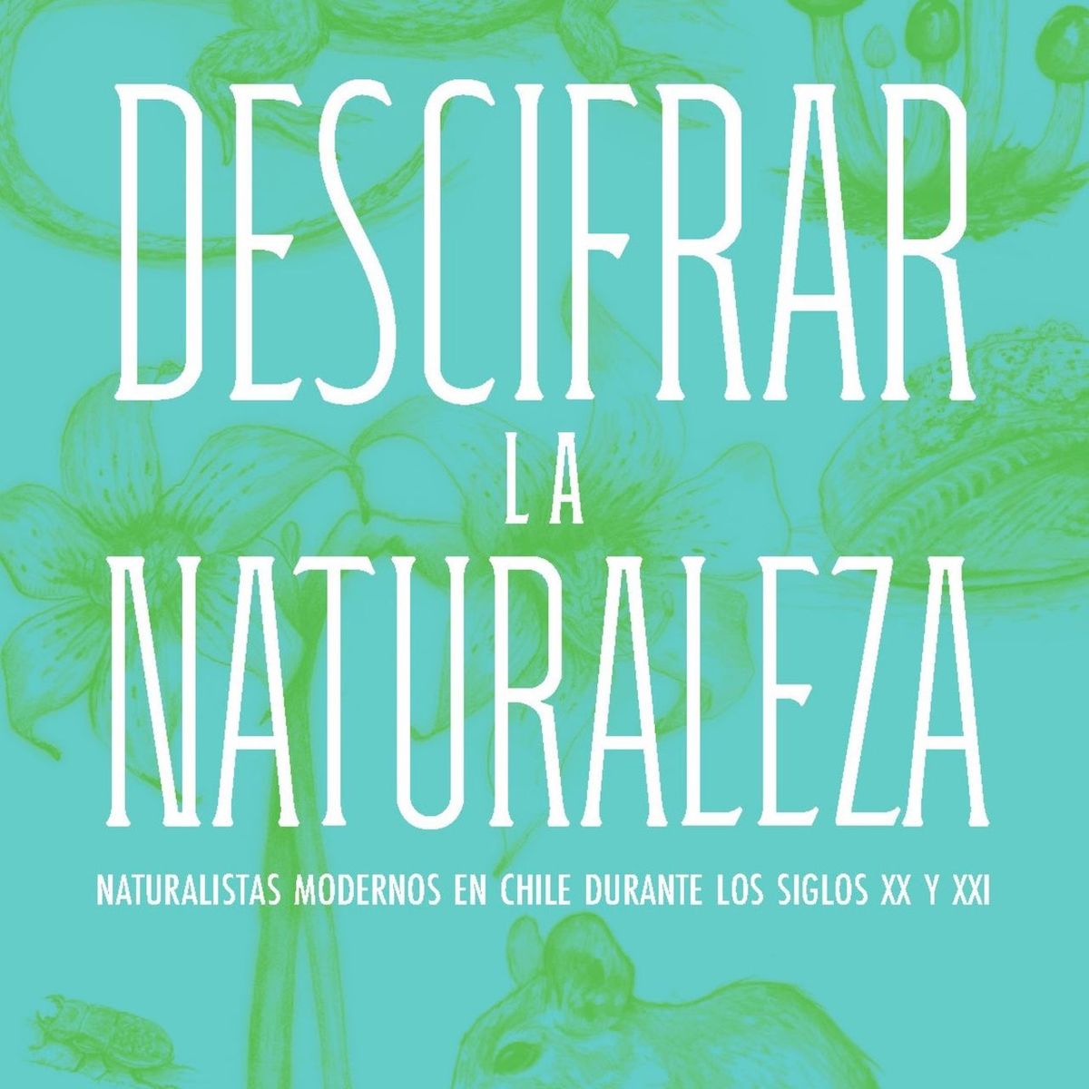 TOP10BOOKS - LIBRO Descifrar La Naturaleza - Descifrar La Naturaleza
