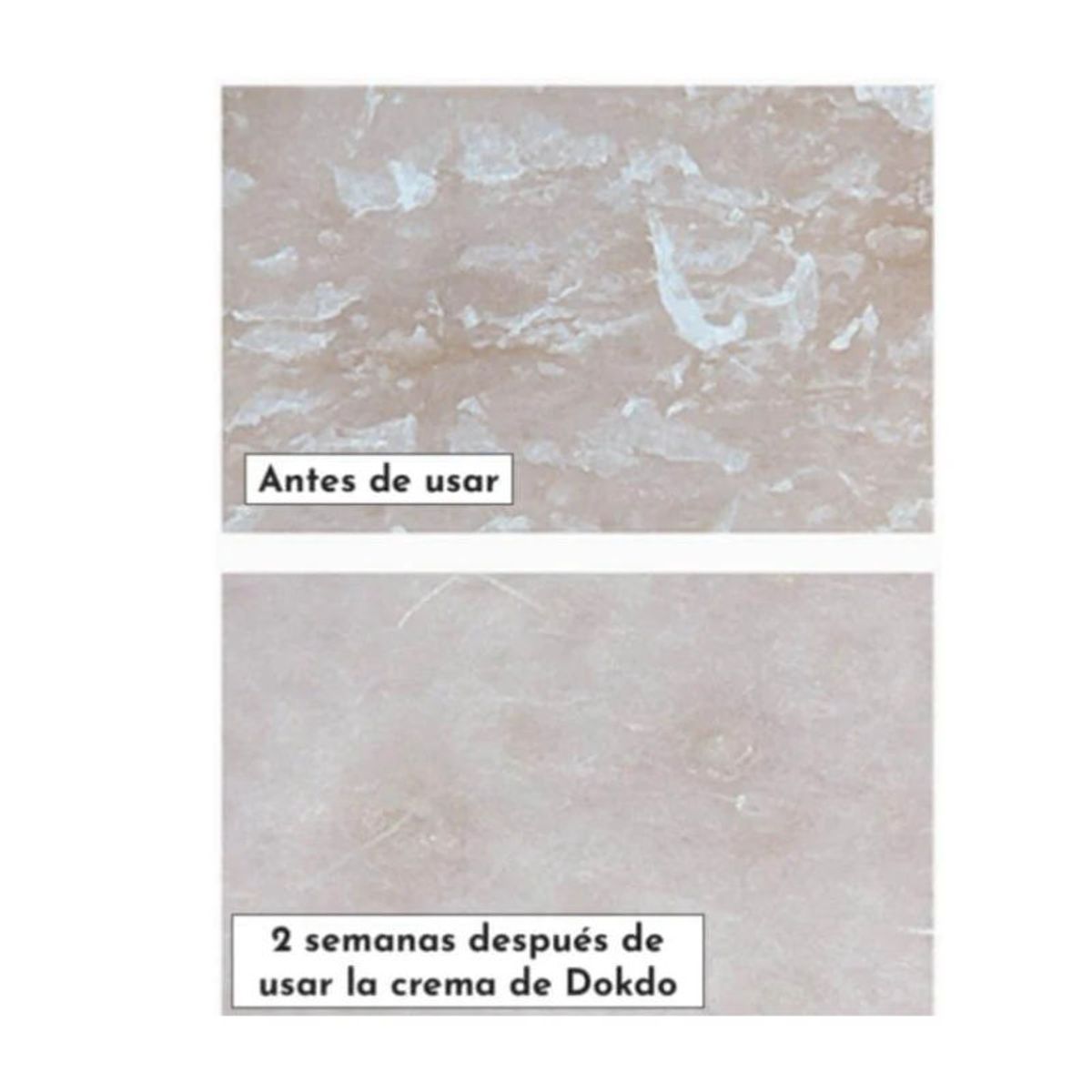 ROUND LAB - Crema Ultra-Hidratante de Barrera Cosmético Coreano 80 ml