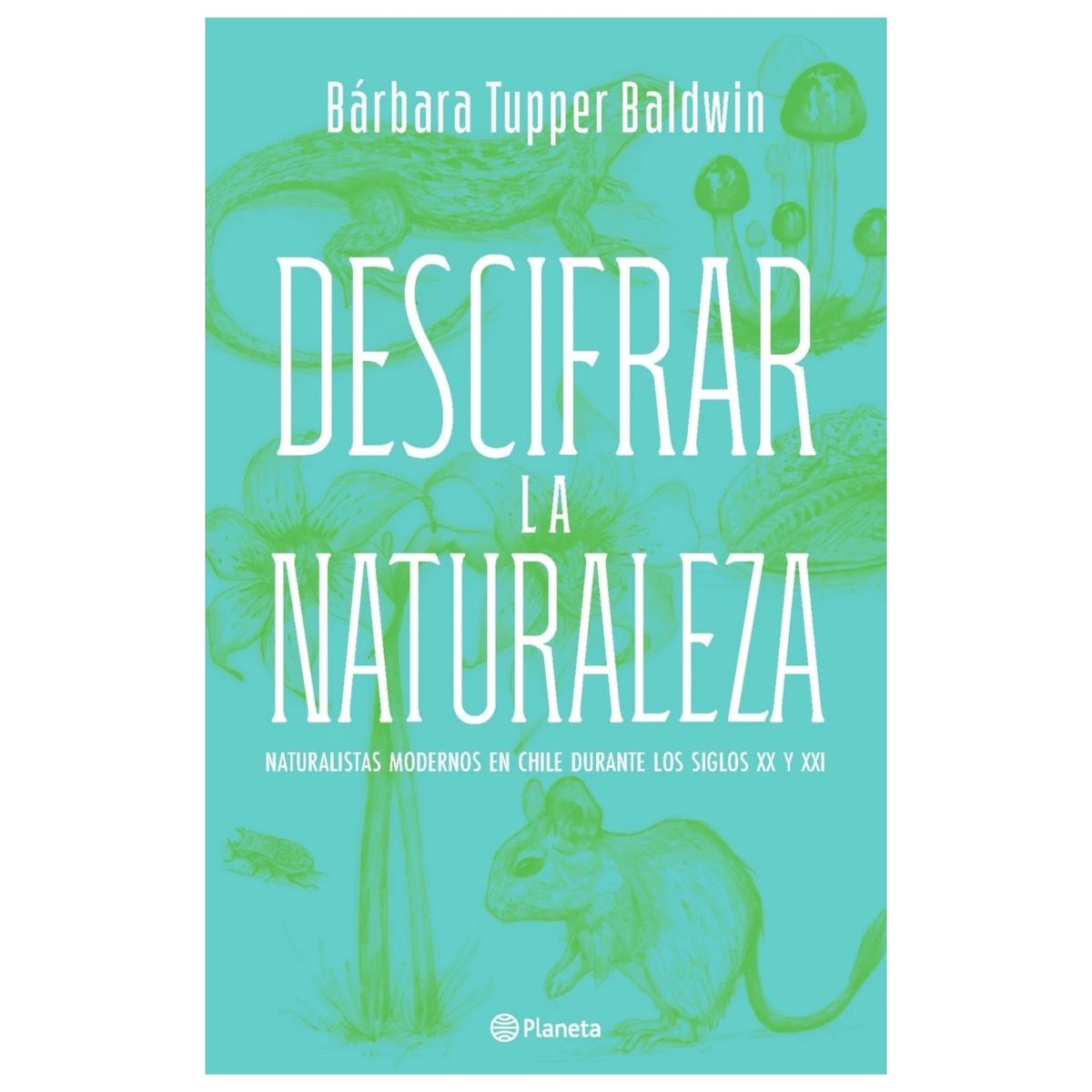 HITWAY MUSIC - DESCIFRAR LA NATURALEZA TAPA BLANDA - BÁRBARA TUPPER BALDWIN - LIBRO