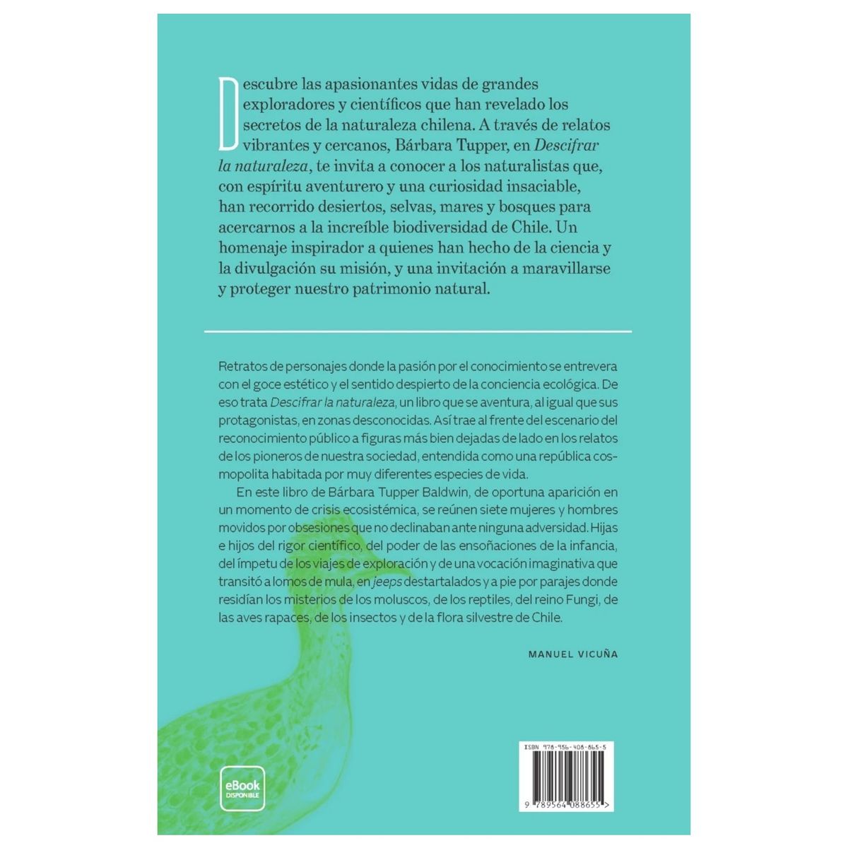 HITWAY MUSIC - DESCIFRAR LA NATURALEZA TAPA BLANDA - BÁRBARA TUPPER BALDWIN - LIBRO