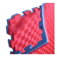 TATAMI UNIDAD GOMA EVA 1MT1MT 25MM ROJOAZUL CW-11CH-2