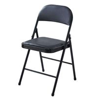 Silla Plegable Metálica Acolchada