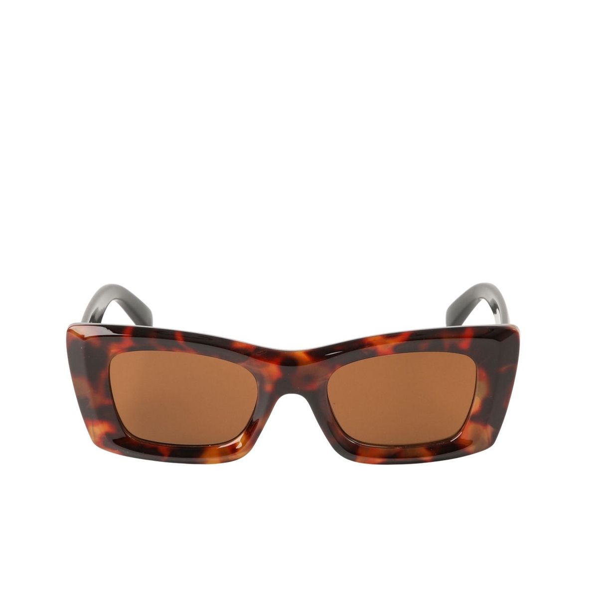 BOBS - Anteojos de sol Zanzibar Geométrico carey café Bobs