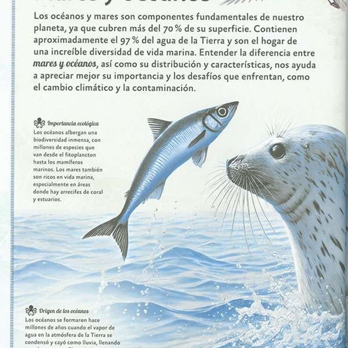 SUSAETA - El magnífico libro de los animales marinos