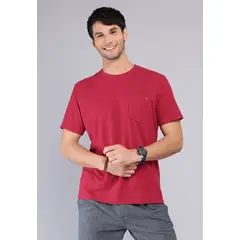 ARROW - Polera Cuello Redondo Stone Wash