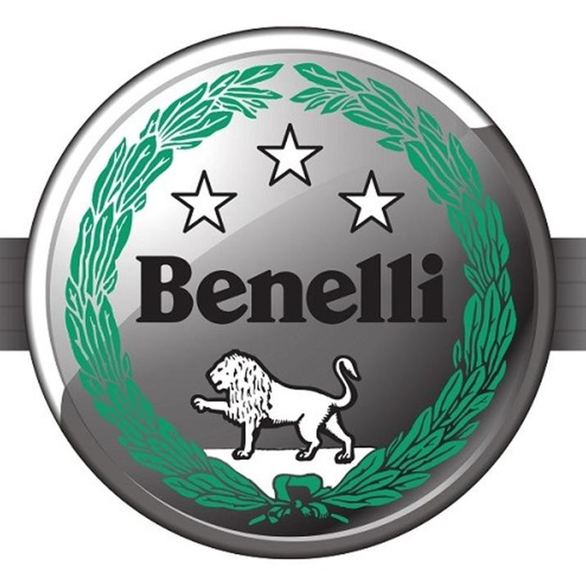 GENERICO - Damper Benelli Tnt 250  Leoncino 250  Trk 251 Original