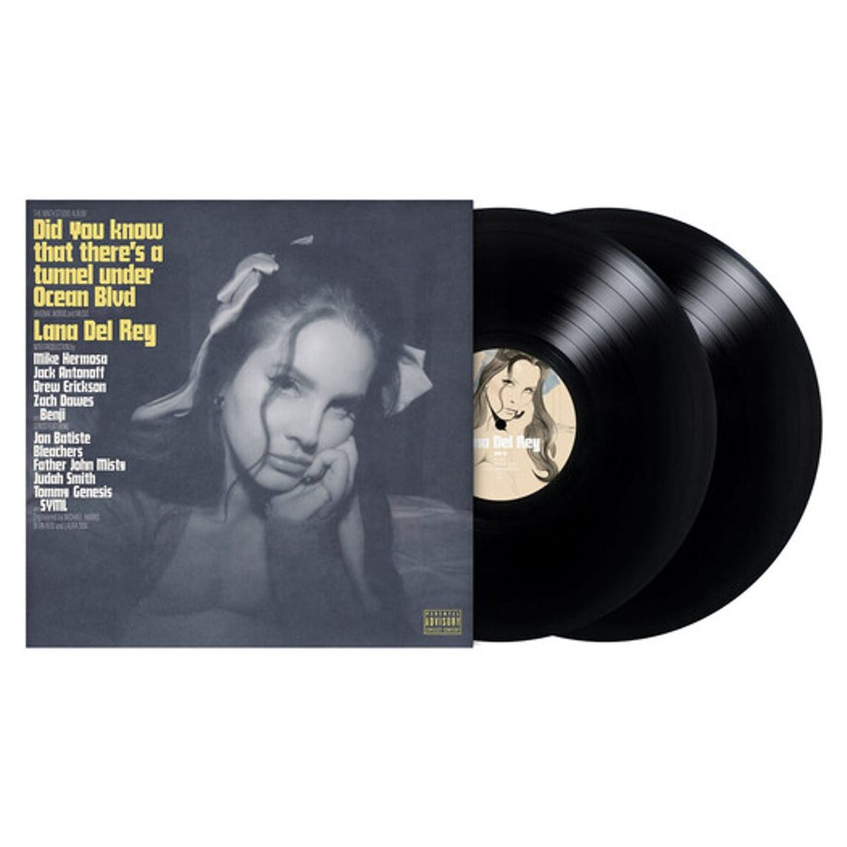 GRUPO LASER DISC - Vinilo Lana Del Rey Did You Know That Theres A Tunnel 2LP