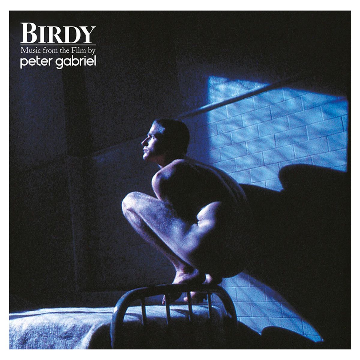 GENERICO - Peter Gabriel - Birdy - Vinilo