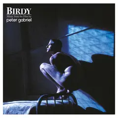 GENERICO - Peter Gabriel - Birdy - Vinilo