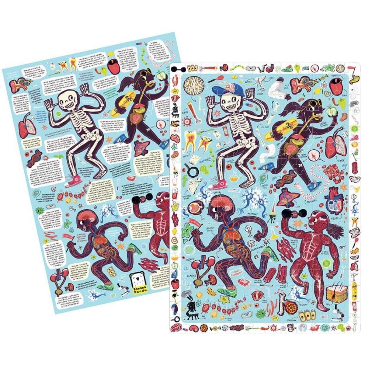 EDITORIAL CONTRAPUNTO - Puzzle Observation My Body (204 piezas) 7+