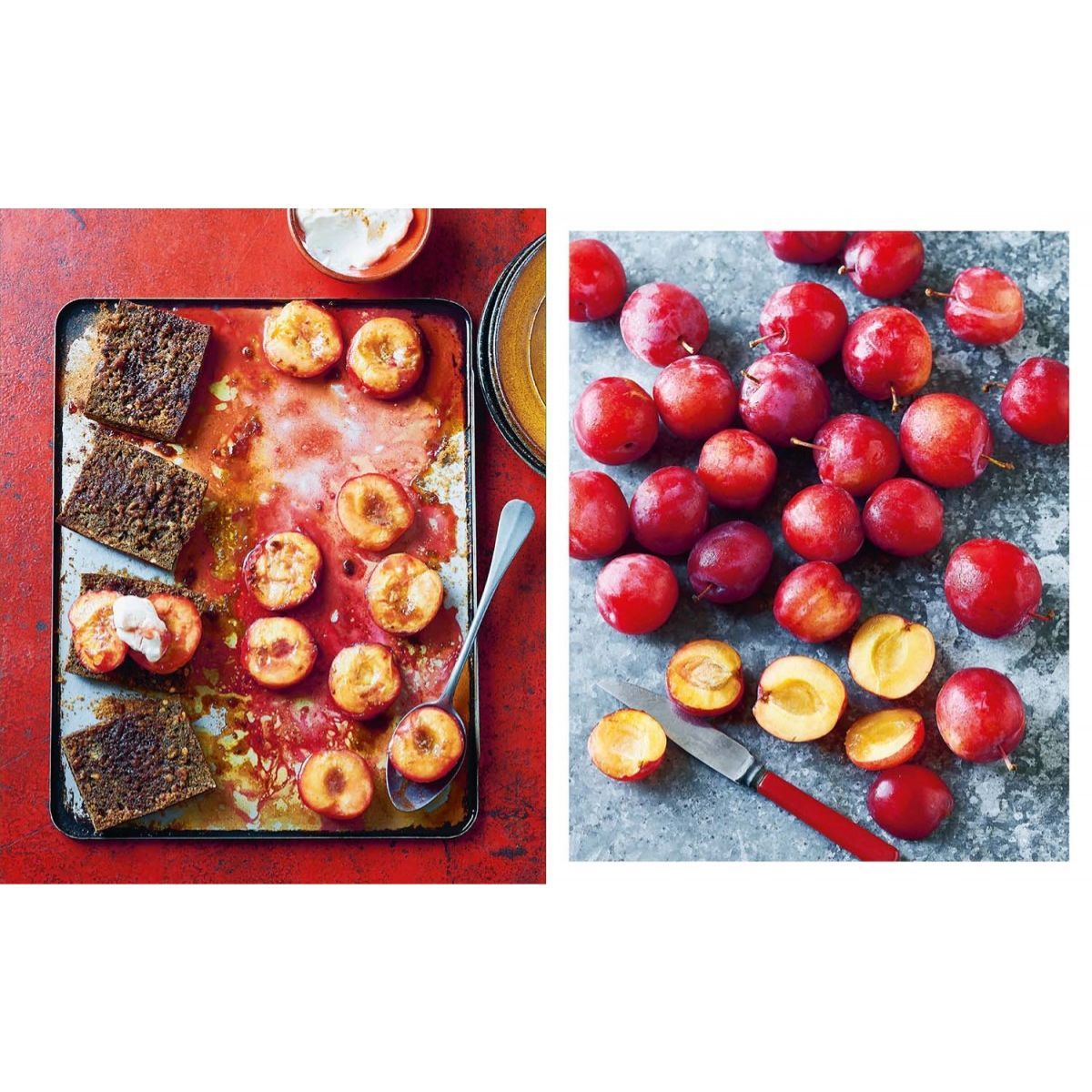 EDITORIAL CONTRAPUNTO - Platos veganos en un solo recipiente