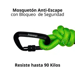 PETLOUNGE - Correa De Paseo Resistente Para Perros Outdoor - Verde