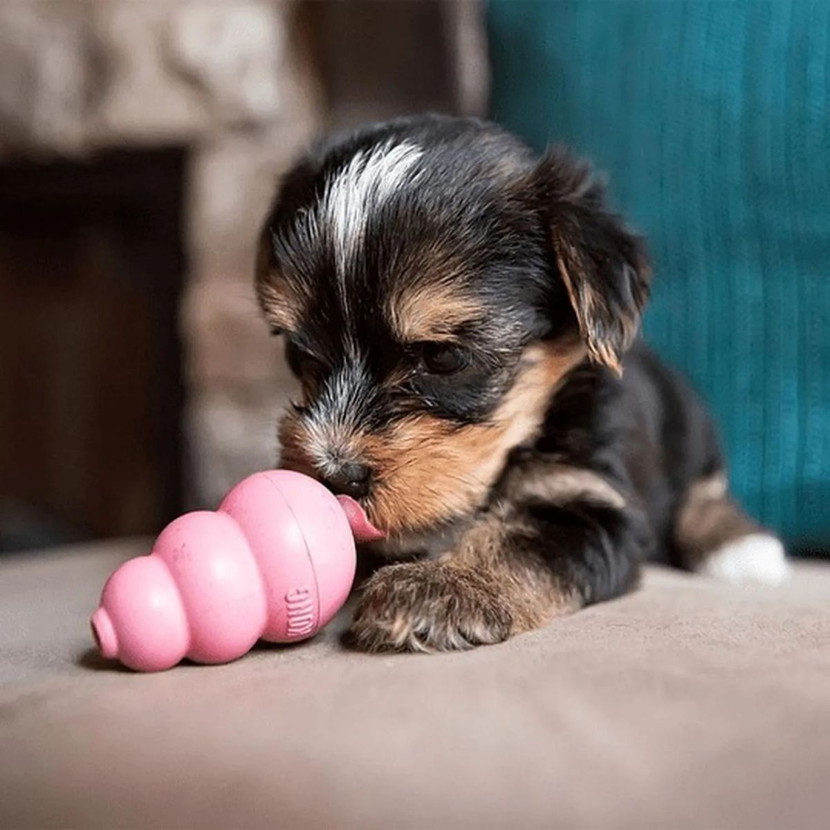 KONG - Juguete Kong Puppy Para Perros Cachorros Talla S Hasta 9 Kg