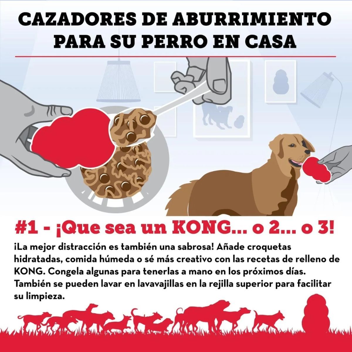 KONG - Juguete Kong Puppy Para Perros Cachorros Talla M 7-16 Kg - Celeste