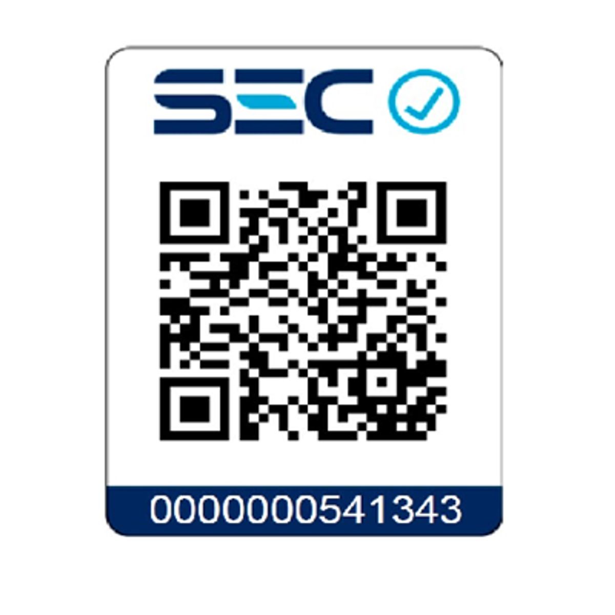 TOTAL TOOLS - Motosierra Inalámbrica 40v 16 Pulgadas Total Tgsli40168 - Turquesa