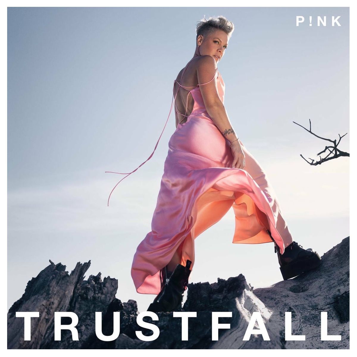 GRUPO LASER DISC - Vinilo Pink Trustfall 1LP