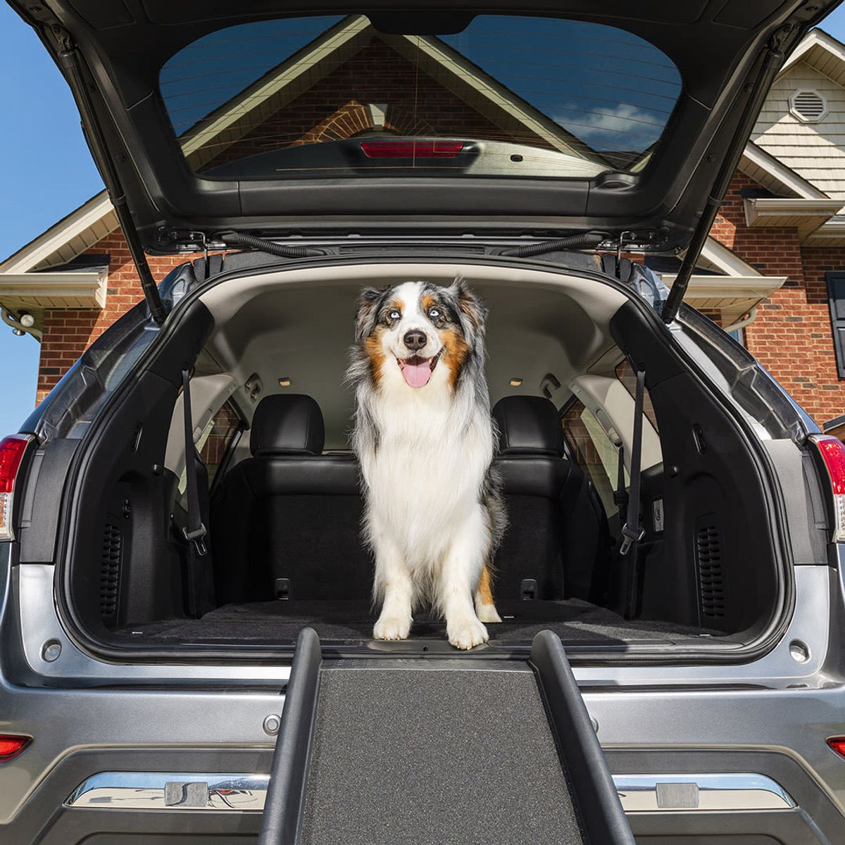 PET SAFE - Rampa plegable para perros Plástica Marca PetSafe