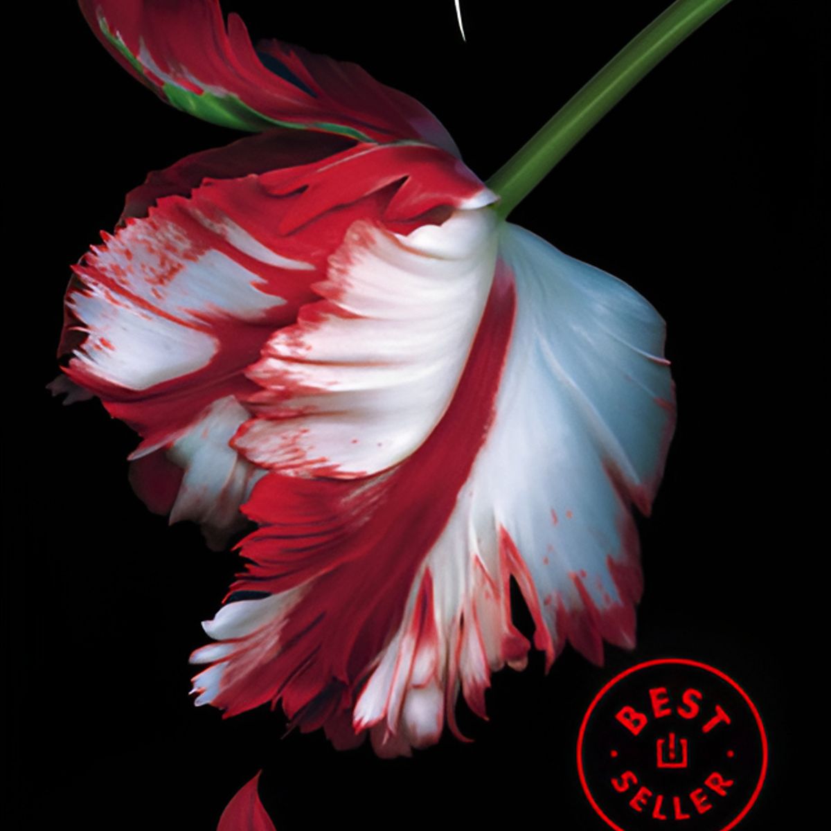 DEBOLSILLO - Libro Luna nueva (Saga Crepúsculo 2) - Meyer, Stephenie