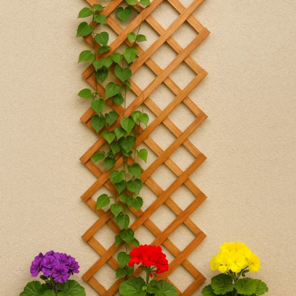 GENERICO - PACK 5 UN: Enrejado Madera SIN MARCO 60x180 cm