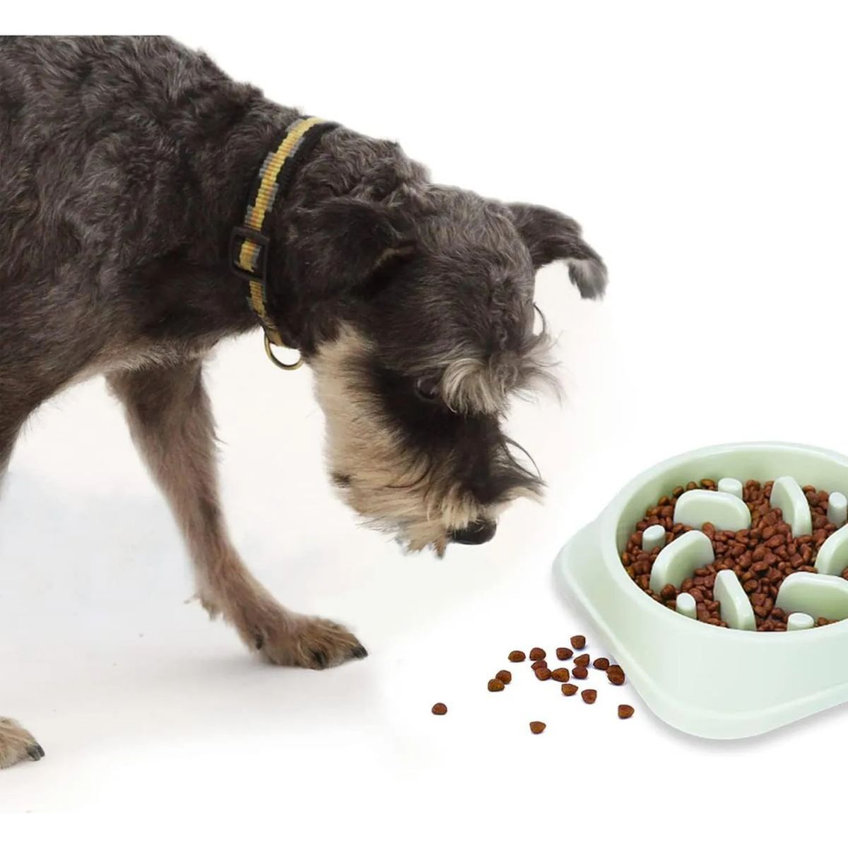 GENERICO - Plato Alimentación Lenta, Anti Estrés Para Perro - Verde