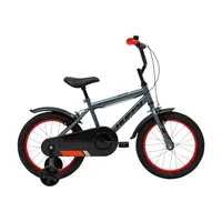 Bicicleta Infantil Pro Thunder Aro 16 Gris